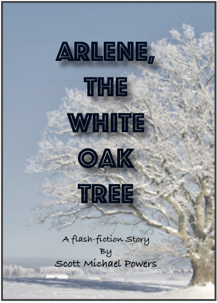 Flash fiction magical realism story